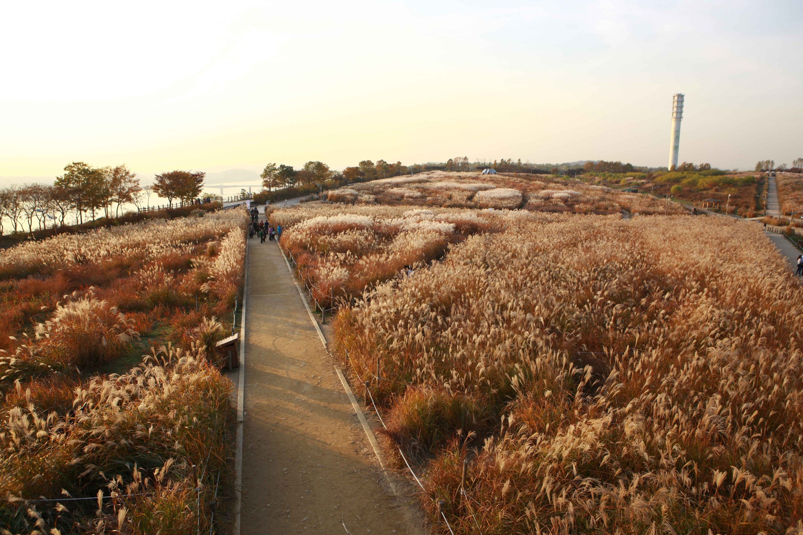 Haneul Park
