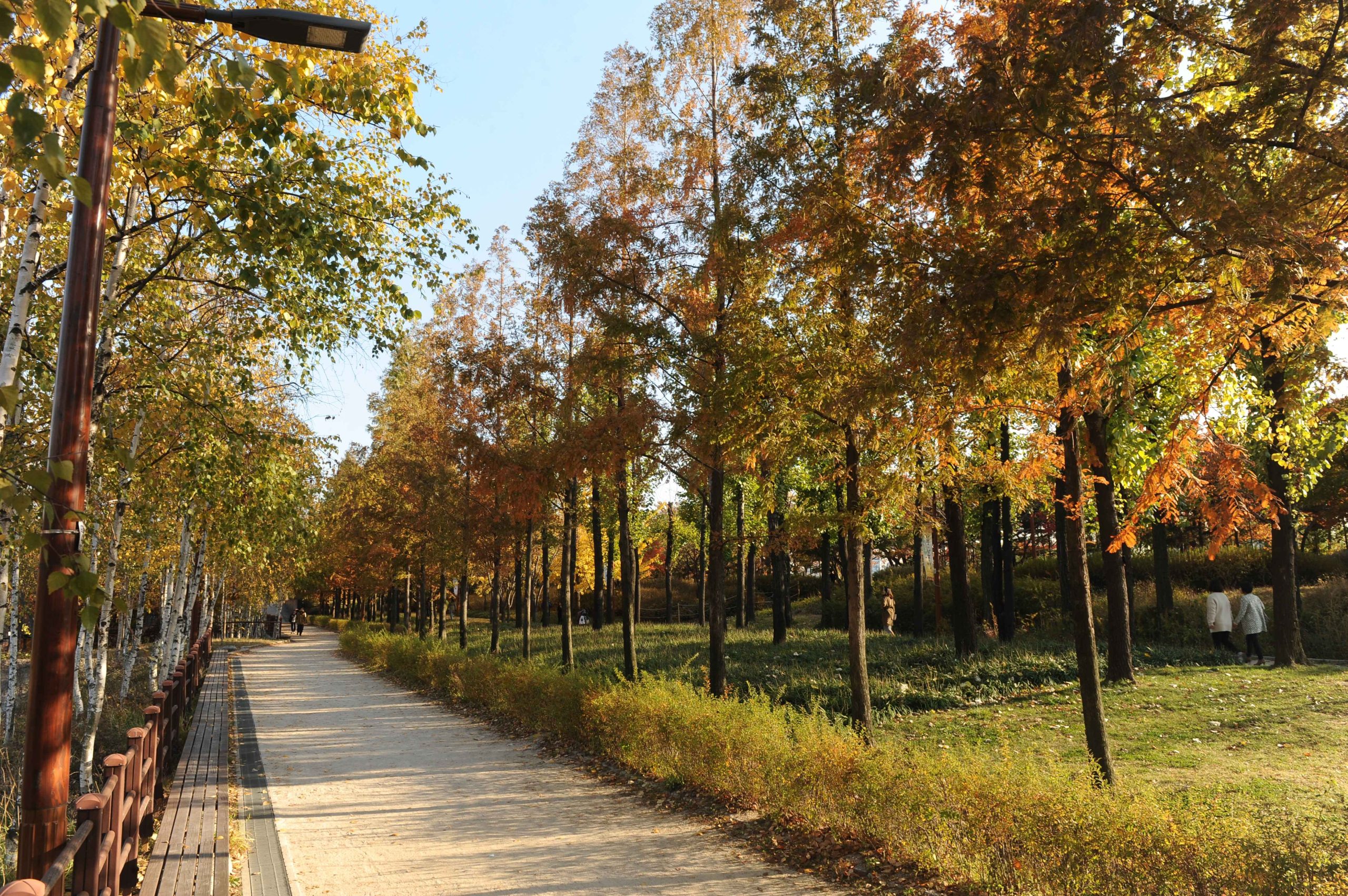 Seonyudo Park