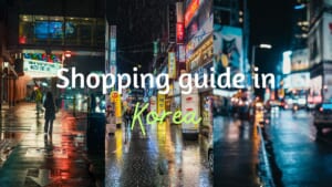 Shopping-guide-entertainment-korea