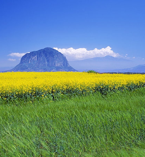 The 10 Best Beaches in South Korea: A Traveler’s Guide to Sun, Sand, and Sea