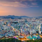 The Best Themed Restaurants in Seoul: A Unique Dining Experience