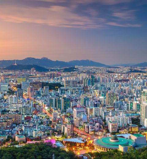 The Best Themed Restaurants in Seoul: A Unique Dining Experience