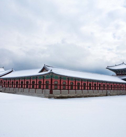 The Ultimate Guide to the Best Sweet Treats in Seoul: Top 10 Dessert Spots You Can’t Miss