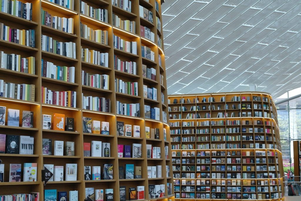 Korea’s Indoor Adventure Parks: The Best Weather-Proof Fun in Seoul & Beyond