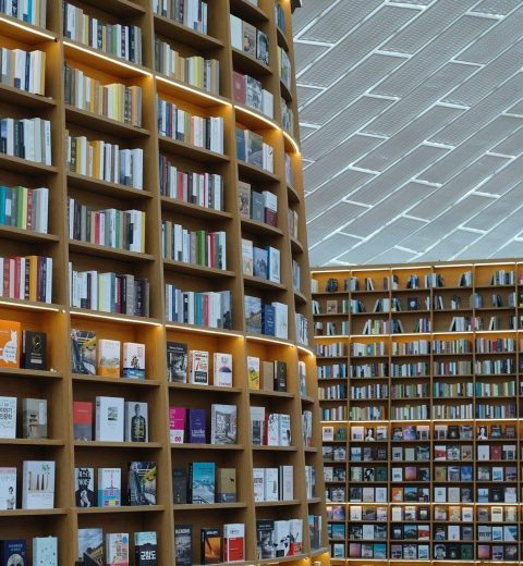 A Guide to the Seoul International Fireworks Festival