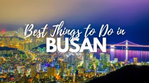 Best Things to Do in Busan