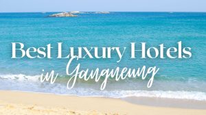 Luxury Hotels in Gangneung